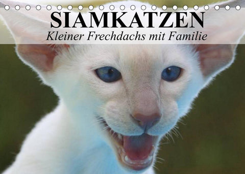 Siamkatzen - Kleiner Frechdachs mit Familie (Tischkalender 2022 DIN A5 quer)