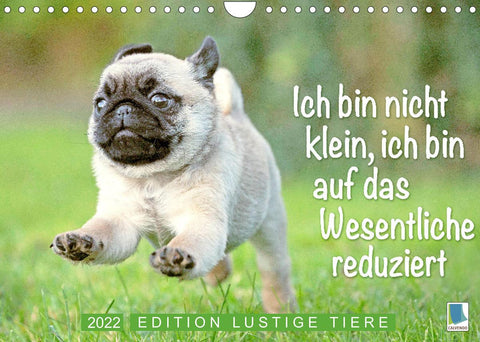Der Mops: Nicht klein, sondern aufs Wesentliche reduziert. Edition lustige Tiere (