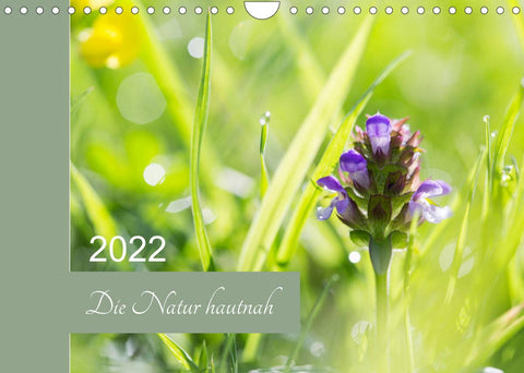 Die Natur hautnah (Wandkalender 2022 DIN A4 quer)