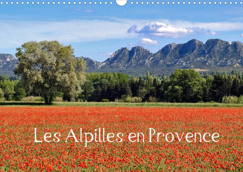 Les Alpilles en Provence (Calendrier mural 2022 DIN A3 horizontal)