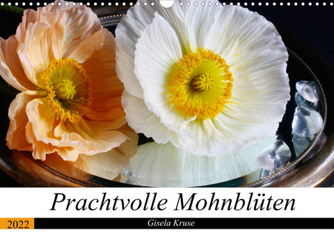 Prachtvolle Mohnblüten (Wandkalender 2022 DIN A3 quer)