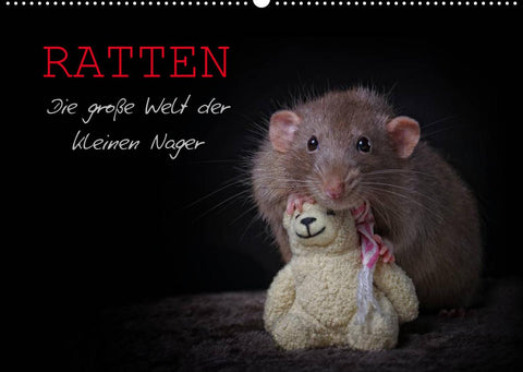Ratten. Die große Welt der kleinen Nager (Wandkalender 2022 DIN A2 quer)