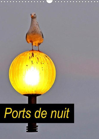 Ports de nuit (Calendrier mural 2022 DIN A3 vertical)
