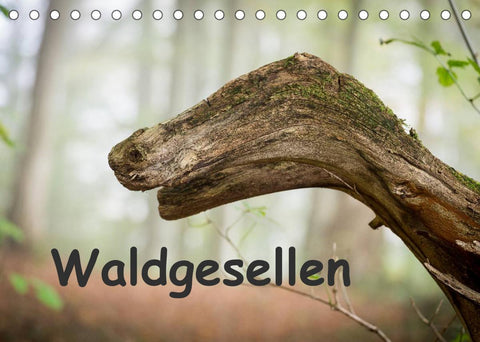 Waldgesellen - entdecke die Vielfalt (Tischkalender 2022 DIN A5 quer)
