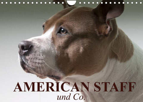 American Staff und Co. (Wandkalender 2022 DIN A4 quer)