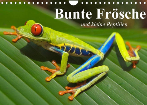 Bunte Frösche und kleine Reptilien (Wandkalender 2022 DIN A4 quer)