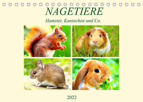 Nagetiere. Hamster, Kaninchen und Co. (Tischkalender 2022 DIN A5 quer)