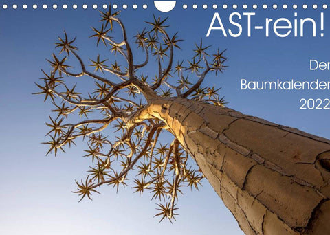Astrein! - Der Baumkalender 2022 (Wandkalender 2022 DIN A4 quer)