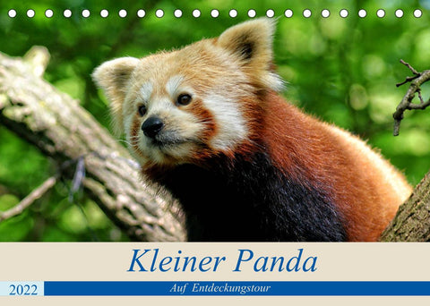 Kleiner Panda auf Entdeckungstour (Tischkalender 2022 DIN A5 quer)