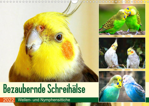 Bezaubernde Schreihälse. Wellen- und Nymphensittiche (Wandkalender 2022 DIN A3 quer)