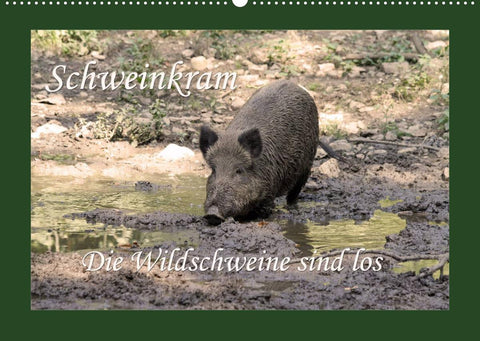 Schweinkram - Die Wildschweine sind los (Wandkalender 2022 DIN A2 quer)
