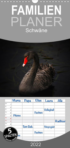 Familienplaner Schwäne (Wandkalender 2022 , 21 cm x 45 cm, hoch)