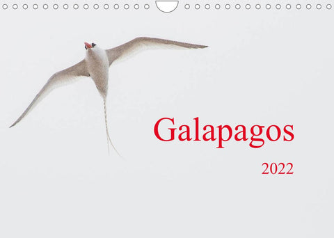 Galapagos (Wandkalender 2022 DIN A4 quer)