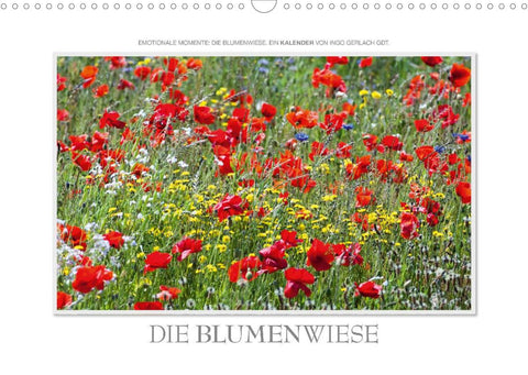 Emotionale Momente: Die Blumenwiese. (Wandkalender 2022 DIN A3 quer)