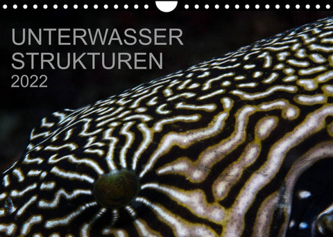 Unterwasser Strukuren (Wandkalender 2022 DIN A4 quer)