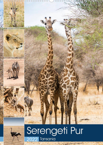Serengeti Pur - Tansania (Wandkalender 2022 DIN A2 hoch)