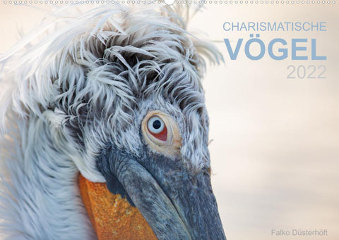 Charismatische Vögel (Wandkalender 2022 DIN A2 quer)