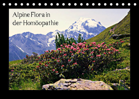 Alpine Flora in der Homöopathie (Tischkalender 2022 DIN A5 quer)