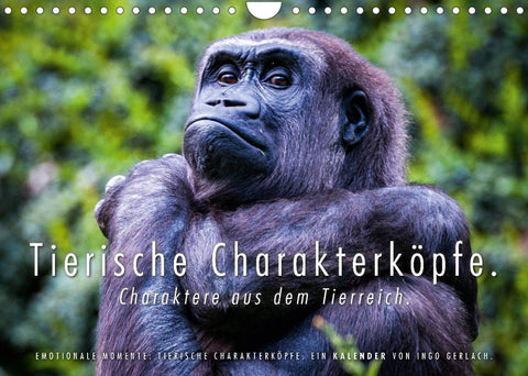 Tierische Charakterköpfe (Wandkalender 2022 DIN A4 quer)