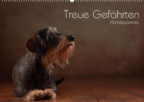 Treue Gefährten - Hundeportraits (Wandkalender 2022 DIN A2 quer)