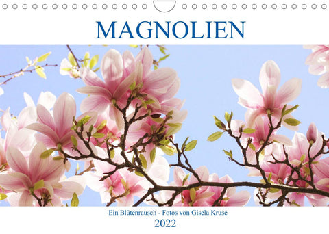 Magnolien Ein Blütenrausch (Wandkalender 2022 DIN A4 quer)