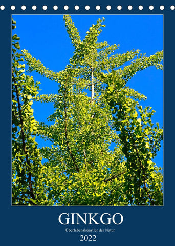 Ginkgo (Tischkalender 2022 DIN A5 hoch)