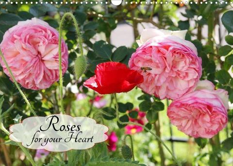 Roses for your Heart (Wall Calendar 2022 DIN A3 Landscape)