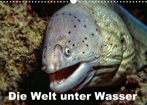 Die Welt unter Wasser (Wandkalender 2022 DIN A3 quer)