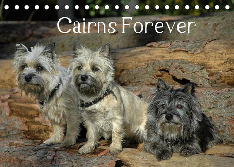 Cairns Forever (Tischkalender 2022 DIN A5 quer)
