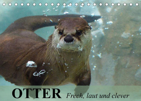 Otter. Frech, laut und clever (Tischkalender 2022 DIN A5 quer)