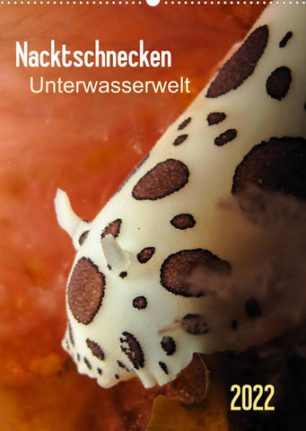 Nacktschnecken - Unterwasserwelt 2022 (Wandkalender 2022 DIN A2 hoch)