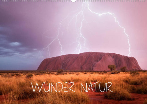 Wunder Natur II (Wandkalender 2022 DIN A2 quer)