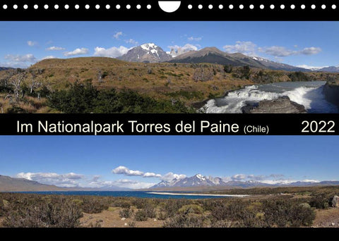 Im Nationalpark Torres del Paine (Chile) (Wandkalender 2022 DIN A4 quer)