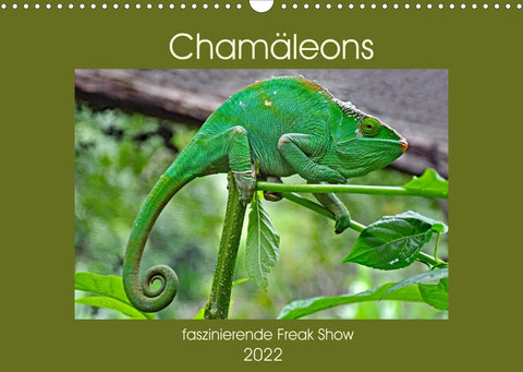 Chamäleons - faszinierende Freak Show (Wandkalender 2022 DIN A3 quer)