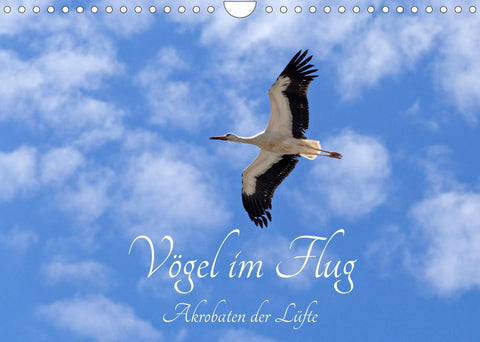 Vögel im Flug - Akrobaten der Lüfte (Wandkalender 2022 DIN A4 quer)