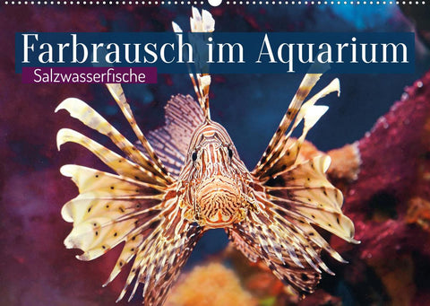 Farbrausch im Aquarium: Salzwasserfische (Wandkalender 2022 DIN A2 quer)