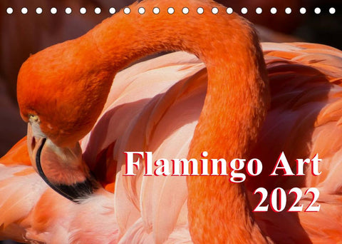Flamingo Art 2022 (Tischkalender 2022 DIN A5 quer)