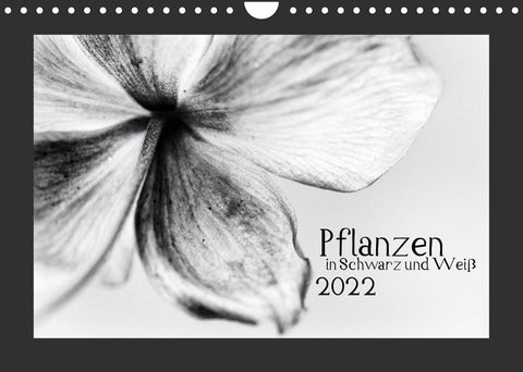 Pflanzen in Schwarz und Weiß (Wandkalender 2022 DIN A4 quer)