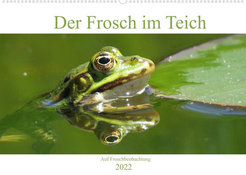 Der Frosch im Teich - auf Froschbeobachtung (Wandkalender 2022 DIN A2 quer)