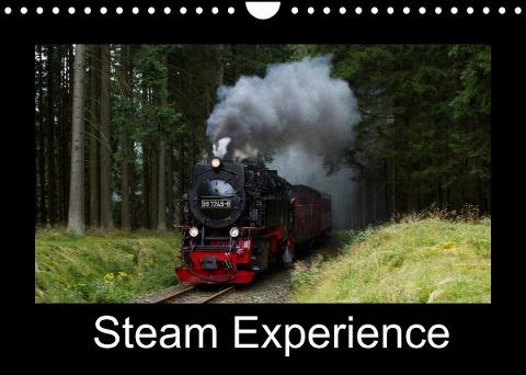 Steam Experience (Wall Calendar 2022 DIN A4 Landscape)