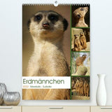 Erdmännchen-Meerkats-Surikate (