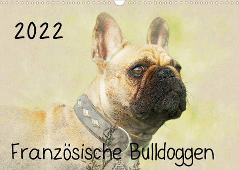 Französische Bulldoggen 2022 (Wandkalender 2022 DIN A3 quer)