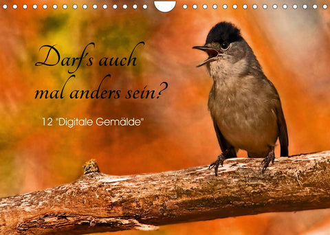 Darf's mal anders sein? (Wandkalender 2022 DIN A4 quer)