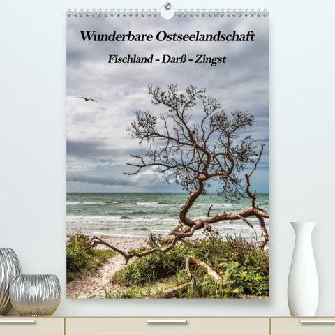 Wunderbare Ostseelandschaft Fischland-Darß-Zingst (Premium, hochwertiger DIN A2 Wandkalender 2022, Kunstdruck in Hochglanz)