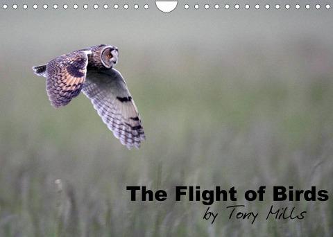 The Flight of Birds (Wall Calendar 2022 DIN A4 Landscape)
