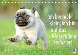 Der Mops: Nicht klein, sondern aufs Wesentliche reduziert. Edition lustige Tiere (