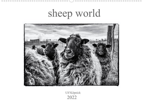 sheep world (Wandkalender 2022 DIN A2 quer)