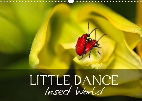 Little Dance Insect World (Wall Calendar 2022 DIN A3 Landscape)
