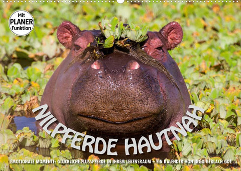 Emotionale Momente: Nilpferde hautnah (Wandkalender 2022 DIN A2 quer)