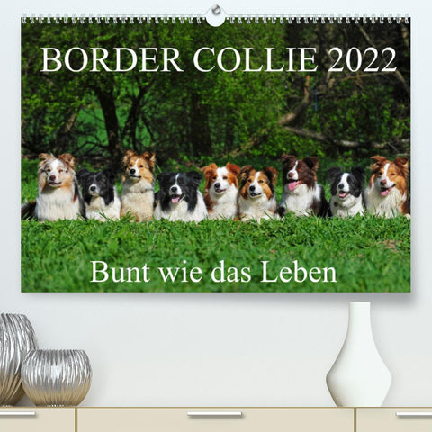 Border Collie 2022 (Premium, hochwertiger DIN A2 Wandkalender 2022, Kunstdruck in Hochglanz)